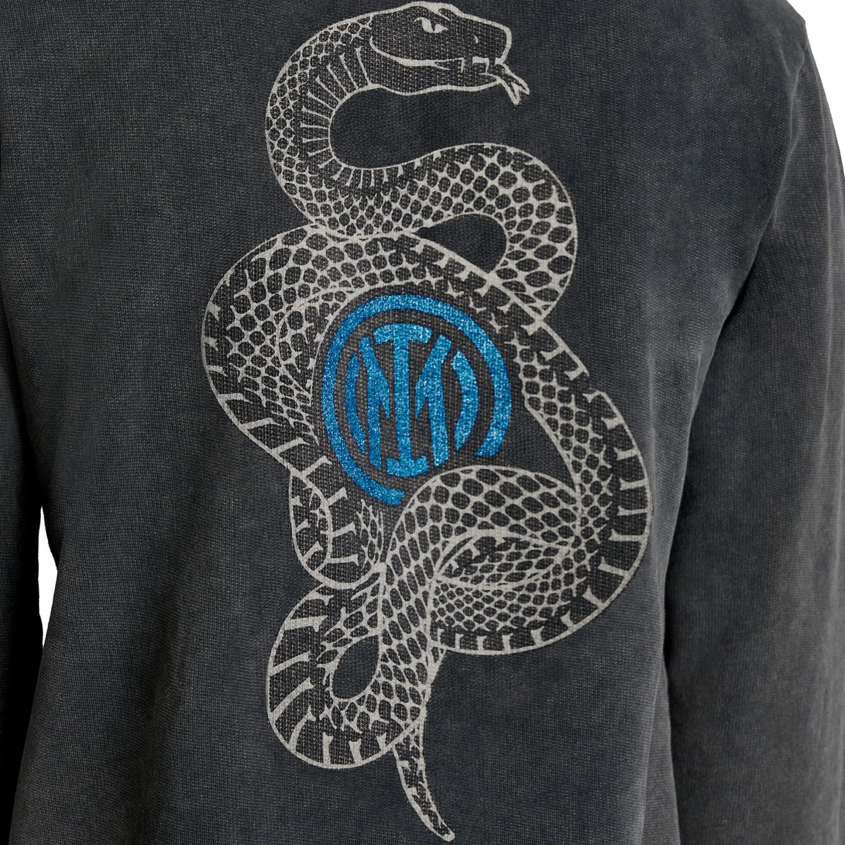 Inter Felpe E Giacche^IM FELPA CON CAPPUCCIO SNAKE CLUB BAMBINO GRIGIO SCURO